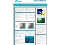 [thumbnail of Numerical-modelling-of-fish.pdf]